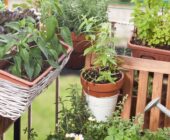 Jardines en el Balcón: Transforma tu Espacio Exterior en un Oasis