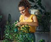 No más plantas marchitas: Guía para Cuidar tu Hogar y Jardín